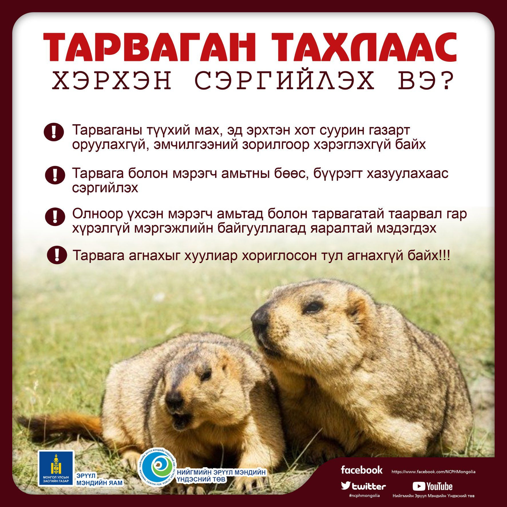 Тарваган тахлаас сэргийлье!!!