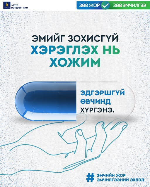 Эмийг зохисгүй хэрэглэх нь хожим эдгэршгүй өвчинд хүргэнэ.