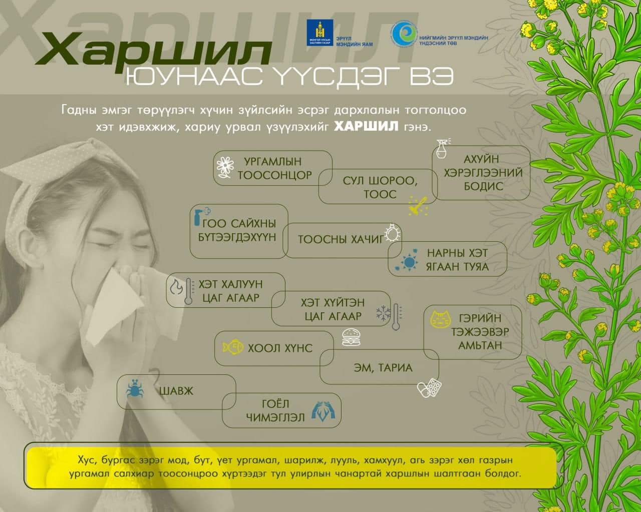 🧐❗Харшил юунаас үүсдэг вэ?✅✅👇 #шарилжгүйхот #шарилжгүйаймаг #харшлынэсрэгхамтдаа