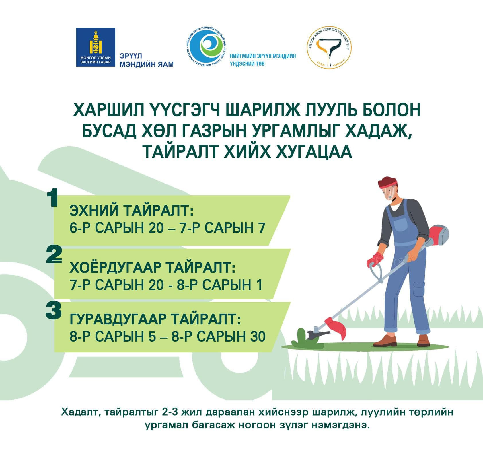 ✅🧐Харшил үүсгэгч шарилж лууль болон бусад хөл газрын ургамлыг хугацаанд нь хадаж, тайралт хийж хэвшээрэй👇