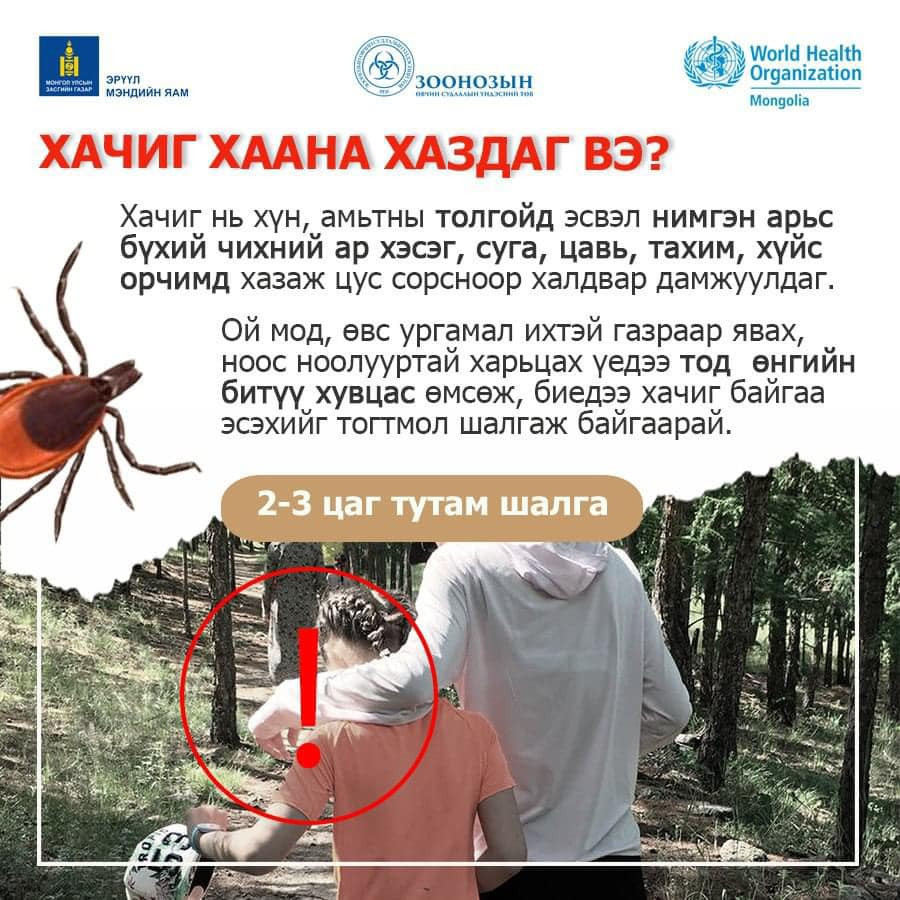 Хүүхдүүдээ агаарт гаргах, ууланд алхах, ноос ноолууртай харьцахдаа хачигт хазуулахаас сэргийлж биеийн хэсгийг ил гарахааргүй хувцаслахыг зөвлөж байна.