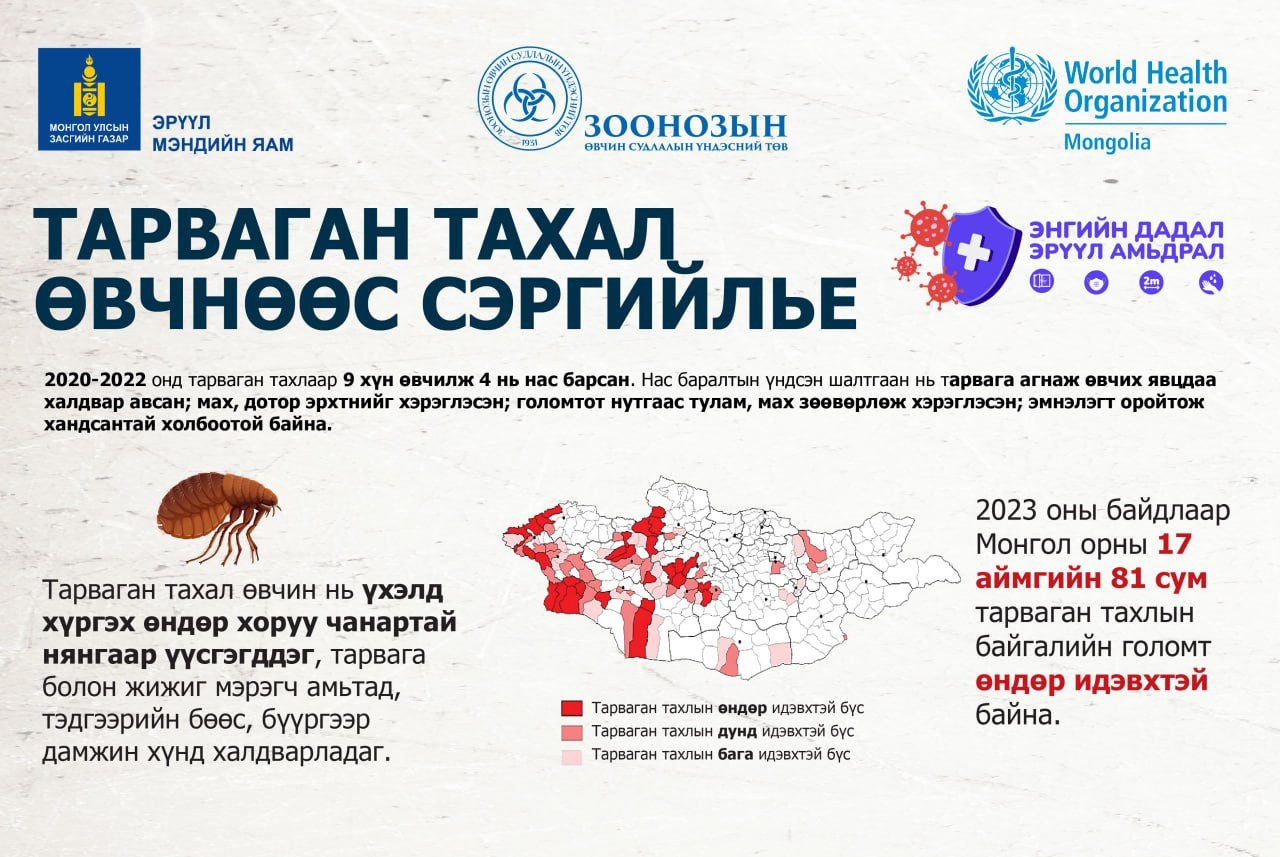 ТАРВАГАН ТАХАЛ ӨВЧНӨӨС СЭРГИЙЛЬE‼️