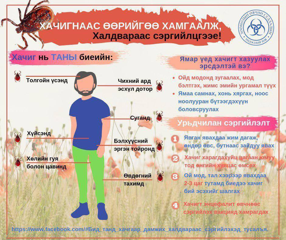 ХАЧИГНААС ӨӨРИЙГӨӨ ХАМГААЛЖ, ХАЛВДАРААС СЭРГИЙЛЬЕ!