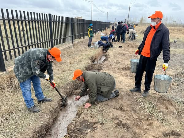 📌ТЭРБУМ МОД ҮНДЭСНИЙ ХӨДӨЛГӨӨНД НЭГДЭЖ МОД ТАРИЛАА.